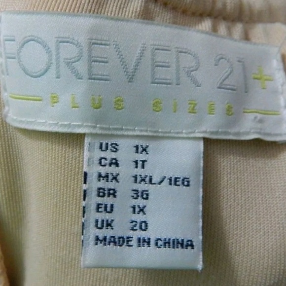 Forever 21 Plus Blush Lace Pleated Dress - Picture 2 of 4